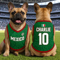 Custom Mexico World Football Pet Jersey - Personalized Birthday Gifts For Football Dog Cat Lovers, Dog Dad And Mom, Cat Owners - Soccer Squad Goals With Paws