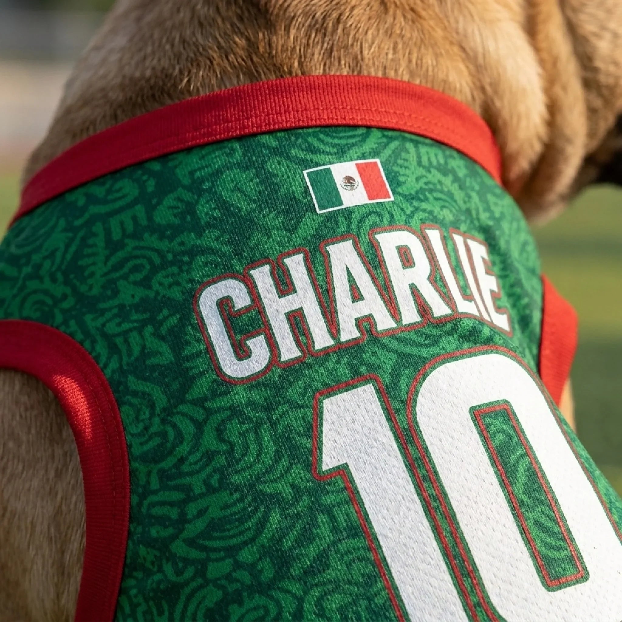 Custom Mexico World Football Pet Jersey - Personalized Birthday Gifts For Football Dog Cat Lovers, Dog Dad And Mom, Cat Owners - Soccer Squad Goals With Paws