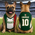 Custom Mexico World Football Pet Jersey - Personalized Birthday Gifts For Football Dog Cat Lovers, Dog Dad And Mom, Cat Owners - Mexico’s Number One Furry Fan