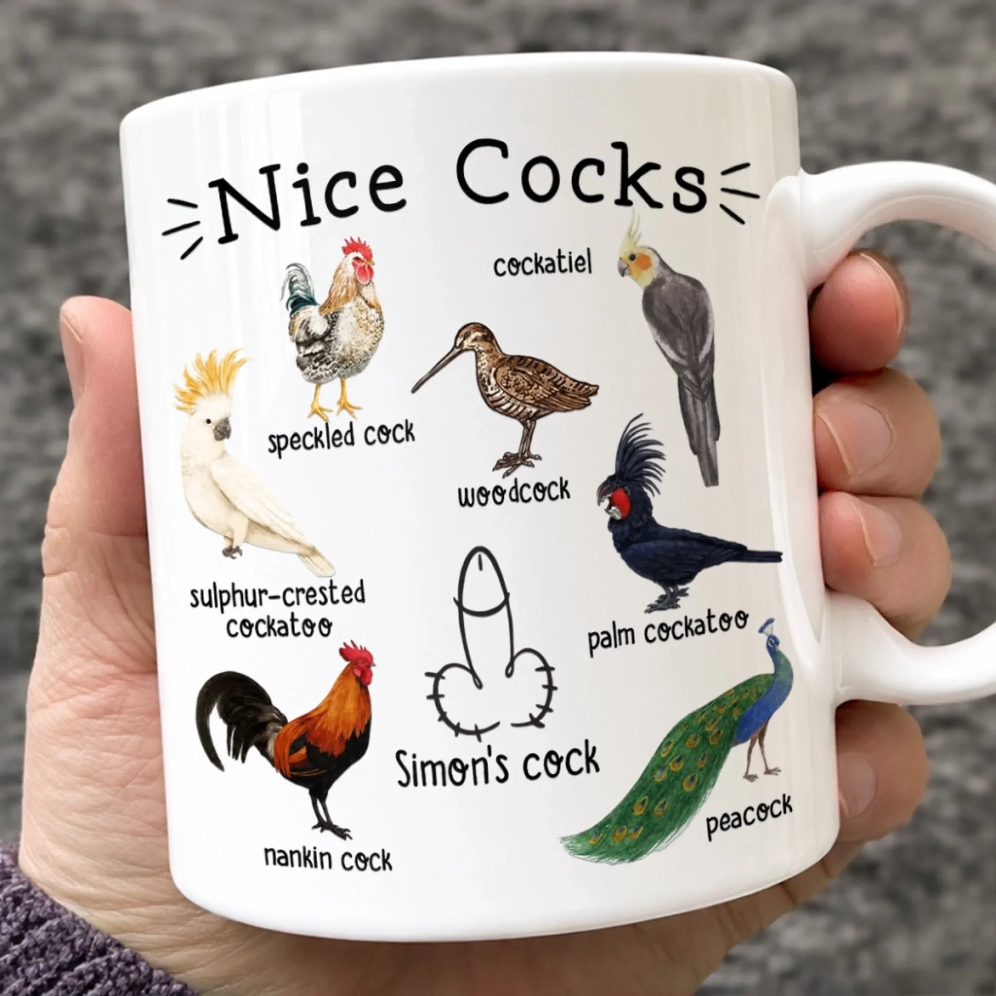 Custom Mug - Personalized Birthday Gifts For  Husband, Boyfriend - Start Mornings With Funny Birds