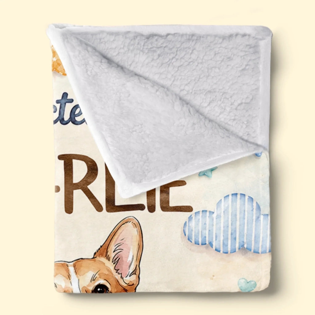 Custom Photo Blanket - Personalized Baby Shower, Gender Reveal Gifts For New Moms, New Dads, New Parents, Dog Cat Lovers - A New Little Love Has Arrived