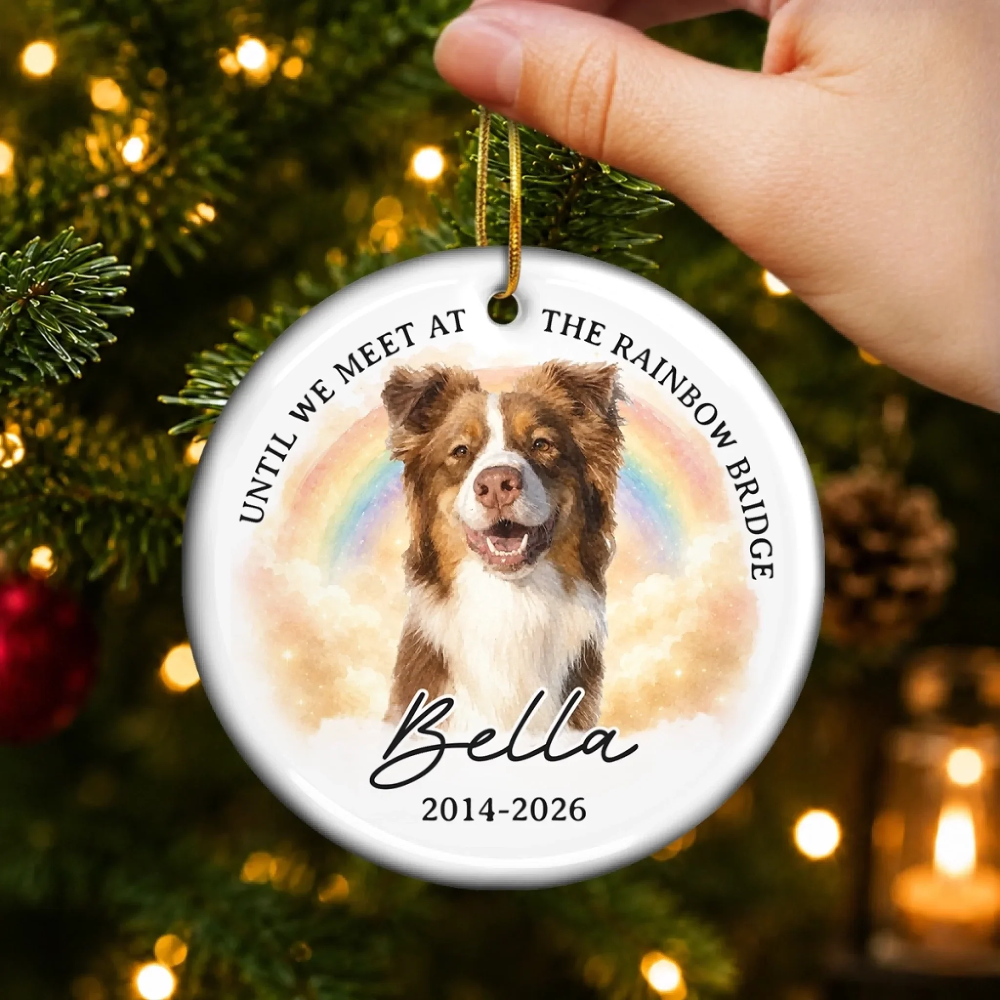 Custom Photo Ceramic Ornament - Personalized Pet Christmas Memorial Sympathy Gifts For Dogs, Cats - Always Missed Deeply Loved