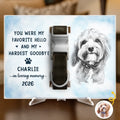 Custom Photo Pet Collar Memorial Frame - Personalized Pet Memorial Sympathy Gifts For Dogs, Cats - Forever In Loving Memory