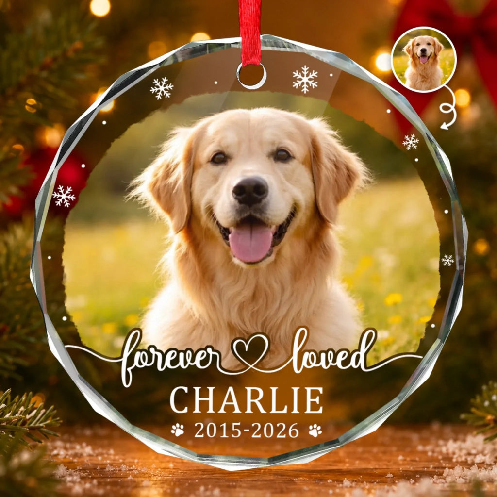 Custom Photo Circle Glass Ornament - Personalized Pet Christmas Memorial Sympathy Gifts For Dogs, Cats - Paw Prints Stay Forever