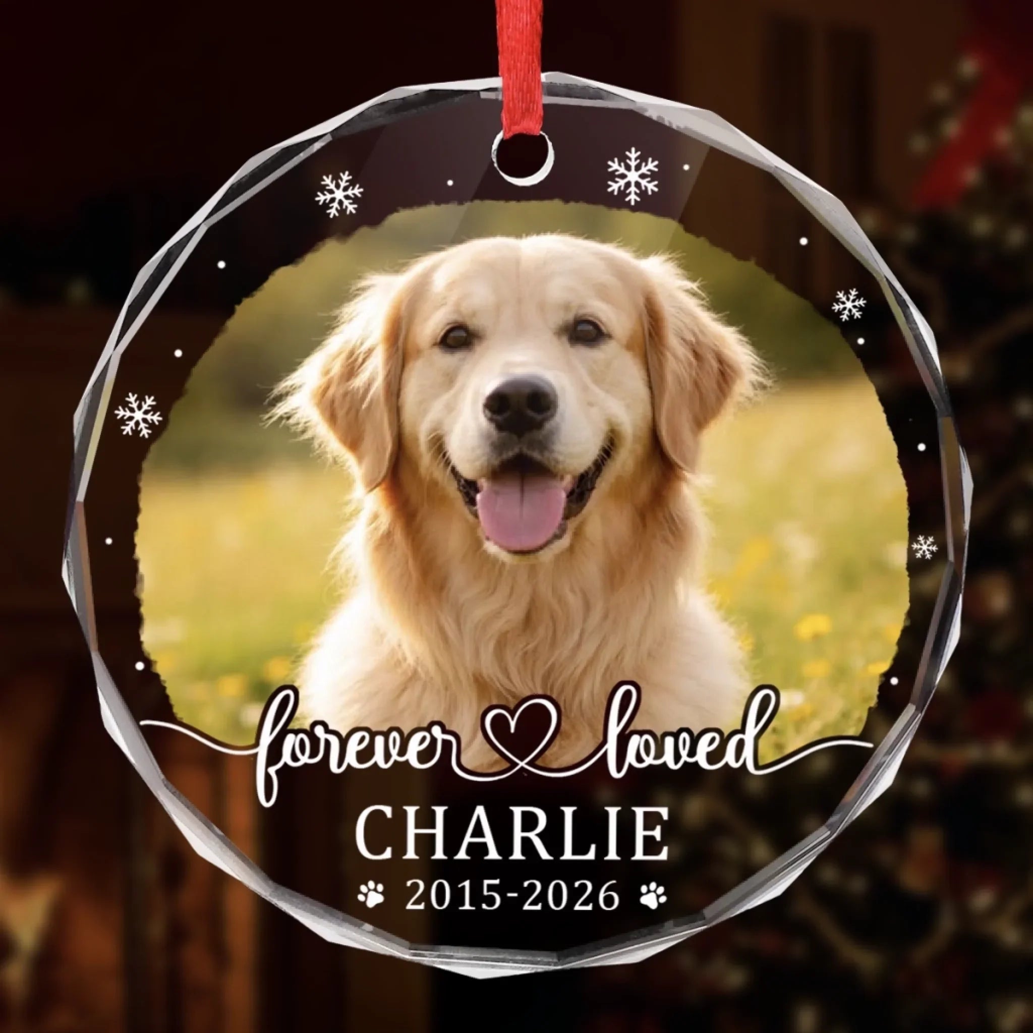 Custom Photo Circle Glass Ornament - Personalized Pet Christmas Memorial Sympathy Gifts For Dogs, Cats - Paw Prints Stay Forever