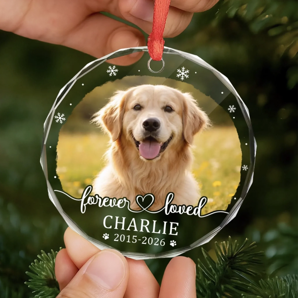 Custom Photo Circle Glass Ornament - Personalized Pet Christmas Memorial Sympathy Gifts For Dogs, Cats - Paw Prints Stay Forever