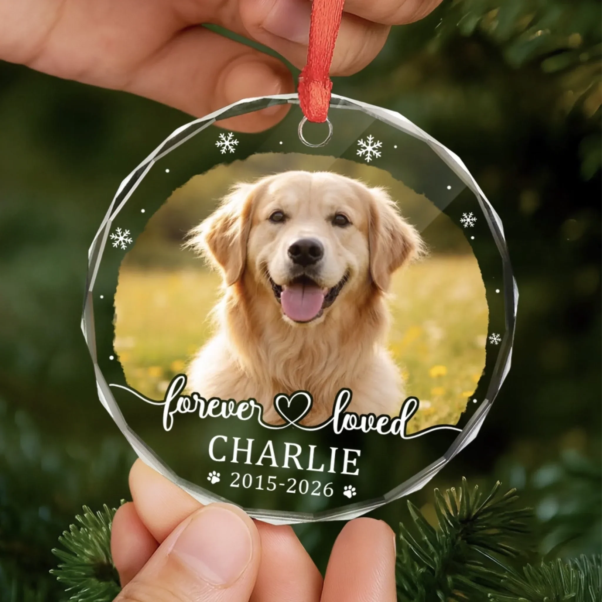 Custom Photo Circle Glass Ornament - Personalized Pet Christmas Memorial Sympathy Gifts For Dogs, Cats - Paw Prints Stay Forever