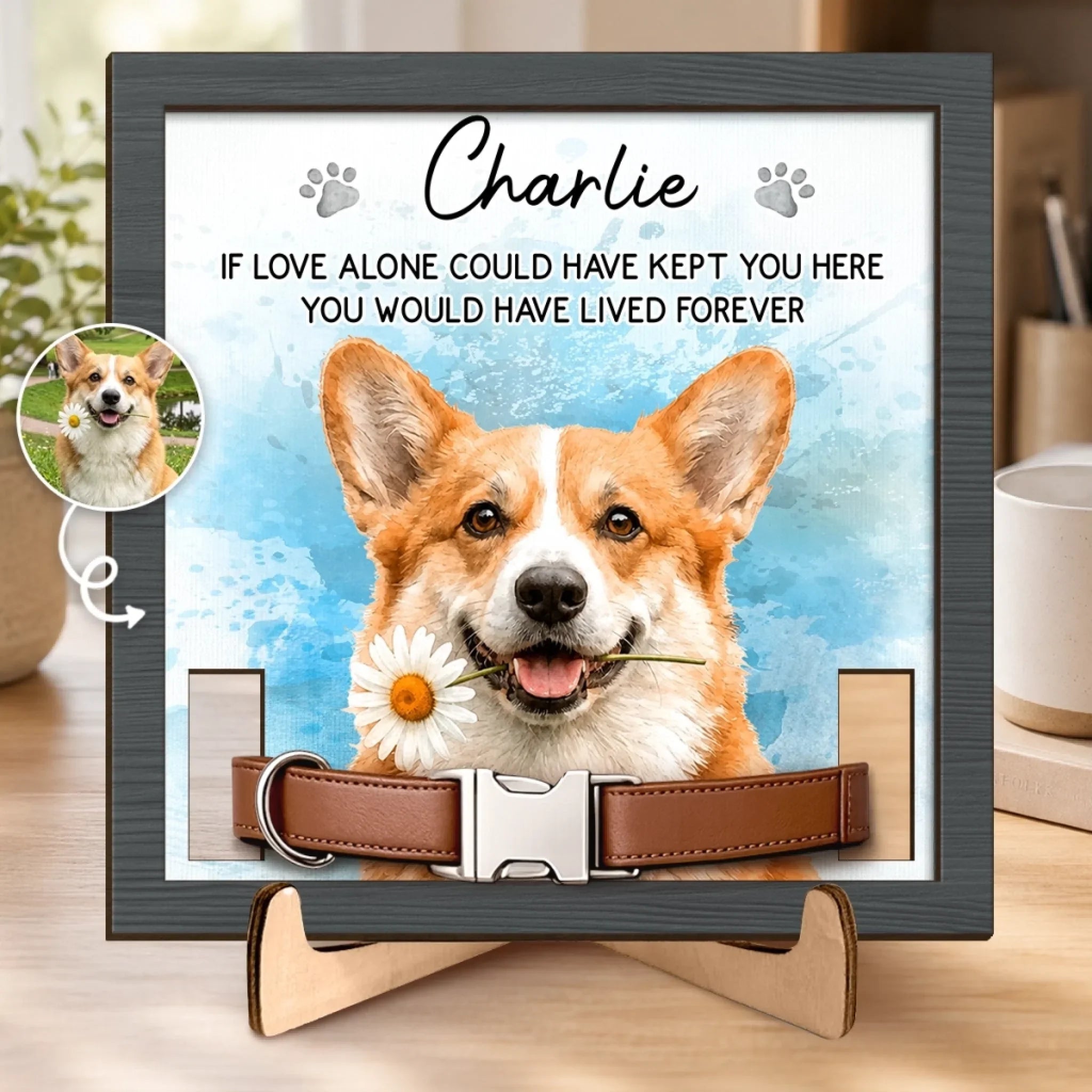 Custom Photo Pet Loss Sign, Collar Frame - Personalized Pet Memorial Sympathy Gifts For Dogs, Cats - Always Loved Never Forgotten
