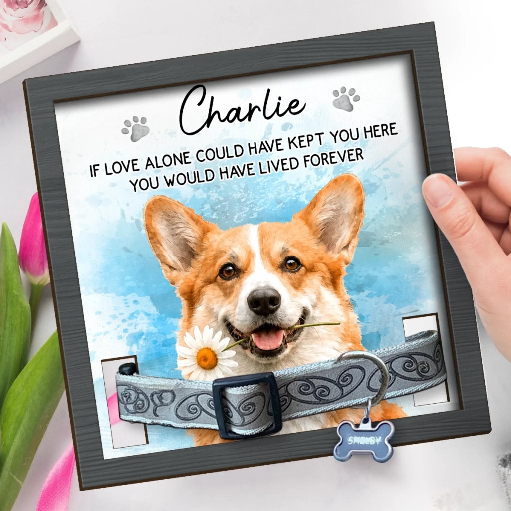 Custom Photo Pet Loss Sign, Collar Frame - Personalized Pet Memorial Sympathy Gifts For Dogs, Cats - Always Loved Never Forgotten